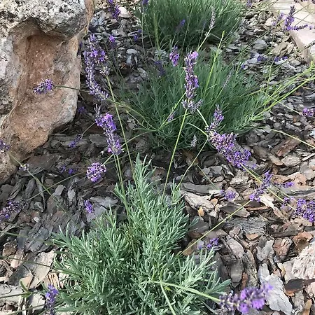 Kristaly לינה וארוחת בוקר 4*