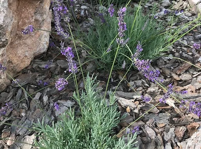 Kristaly Bed & Breakfast 4*