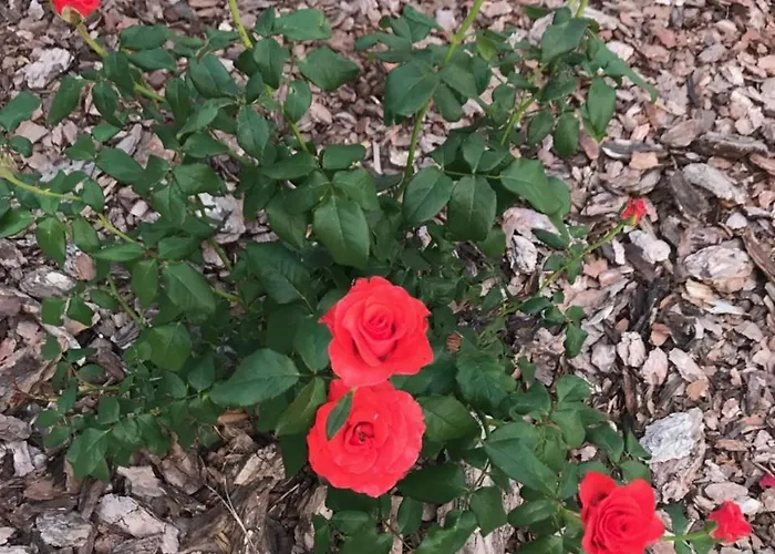 Kristaly Bed & Breakfast