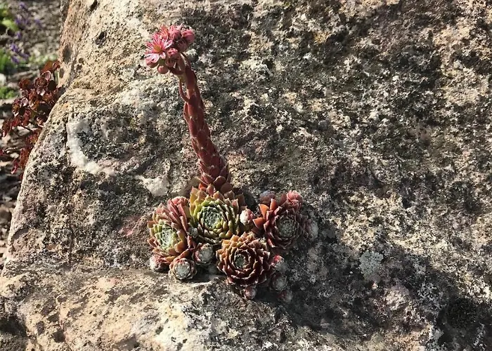 Kristaly Bed & Breakfast