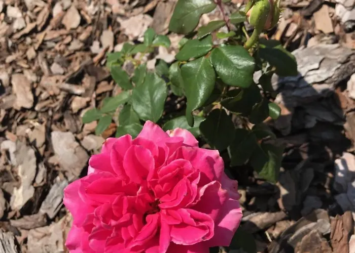 Bed & Breakfast Kristaly 4*